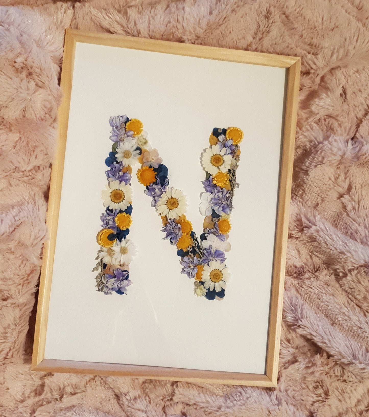 Herbier